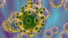 Corona-virus epidemie